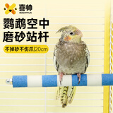 喜帅鹦鹉磨爪棒磨砂鸟站杆站棍鸟训练站架磨甲器磨嘴鸟用品20cm