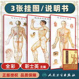 正版 针灸穴位挂图 *5版 靳士英 金完成 靳朴主编 针灸穴位人体挂图 经络 穴位 中医学养生书籍 人民卫生出版社