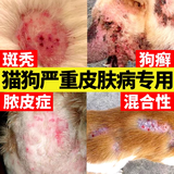 狗狗皮肤病专用狗癣真菌感染金毛拉布拉多法斗皮瘙痒掉毛外用喷剂 买5送3【回馈老顾客】成分温和