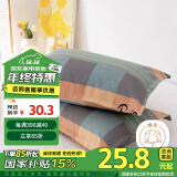 艾薇（AVIVI）老粗布枕套秋冬凉席枕头套枕套一对装 塞纳风情 48*74cm