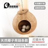 高能鹦鹉虎皮鹦鹉椰子壳鸟窝鹦鹉窝鸟巢窝鹦鹉繁殖箱珍珠椰壳鸟窝户外草窝 【打磨】大号14-15链条款