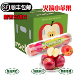嗯嗯乐新西兰试管火箭小苹果Rockit Apple新鲜进口苹果水果 2筒290g家庭装