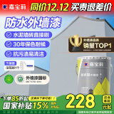 嘉宝莉（CARPOLY）外墙漆乳胶漆防水防晒涂料外墙翻新防水涂料新家园20kg岩石灰 