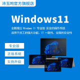 远程电脑安装系统windows11原版win10苹果笔记本Mac双系统M芯片台式重装原版系统虚拟机 window11官方原版安装服务