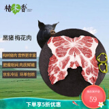 楮木香排骨 肋排 黑猪肉 构树饲养土猪肉猪小排烧烤 猪肉 生鲜源头直发 构树黑猪梅花肉2斤