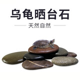 异景园乌龟晒台天然原生造景用品鹅卵石乌龟缸扁平晒背爬台休息石头躲避