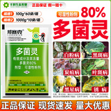 80%多菌灵粉剂杀菌剂果树炭疽病花卉月季花白粉病黑斑病农药正品 80%多菌灵1000g*1袋