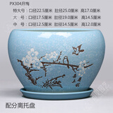 初啸【中国风】陶瓷花盆带托盘特大-大-中号兰花绿植花卉室内阳台花盆 PX304月梅 陶瓷 x 大号