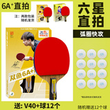 双鱼（DOUBLE FISH） 乒乓球拍初学者成品拍双面反胶皮套装快攻型学生业余训练乒乓拍 竖拍 6A+直拍（单）12球