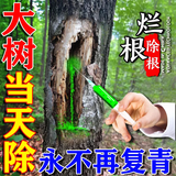 烂树根剂大树除树一滴死一针倒强力除树剂杀大树烂根王专用药正品 一瓶装【强力灭树】 100ml 1瓶