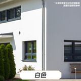 三棵树漆（SKSHU）外墙漆家用阳台漆外墙乳胶漆调色防水防晒自刷彩色外墙涂料墙面漆 白漆 2L