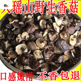 香菇干货新鲜小椴木菇农家广西金秀大瑶山土特产菌菇蘑菇 500g