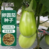 花沃里卵圆茄100粒/包蔬菜种子四季蔬菜种籽速成菜阳台盆栽庭院田间种