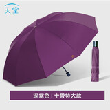 天堂伞雨伞男女加大超大号三折叠伞三人大伞太阳伞全钢十骨大伞广告伞企业定制LOGO 紫色-10骨超大三人伞127cm -雨伞