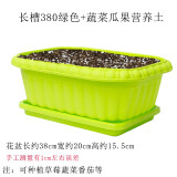 美外 矮加仑花盆泥土带土加仑盆盆土 绿色种菜盆+种菜土