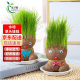 乐子君创意DIY办公室迷你植物长草头娃娃办公室绿植盆栽阳台猫草卡通 草娃娃款随机10个+花边塑料托盘