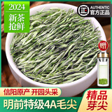 赛八仙2025新茶毛尖 信阳原产明前特级嫩芽茶叶浓香型绿茶散装毛尖茶 明前4A毛尖茶500g