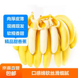 【不打药】国产高山甜糯香蕉 当季新鲜水果芭蕉薄皮整箱青果发货 带箱4.5kg【精品装】
