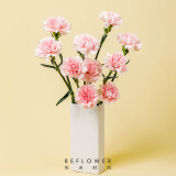 花点时间（Reflower）玫瑰花康乃馨百合鲜花云南昆明基源头直发睡莲剑兰向日葵鲜切花 【单头康乃馨】粉色20枝