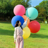欧妮姿生日场景布置男孩女孩派对装饰气球儿童宝宝氛围超大气球5个装