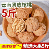 滇园（dianyuan） 云南薄皮核桃 大姚103果精选大果散装深山高原核桃每日坚果 薄皮核桃5斤整箱（不漂白款）