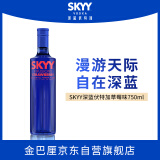 深蓝SKYY 伏特加VODKA进口原瓶进口洋酒调酒  750ML  草莓味