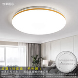 祎琳（yilin）吸顶灯罩 外壳圆形单独灯罩卧室阳台LED工程亚克力阻燃加套件 金边-白灯罩+45cm