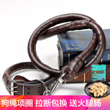 米卡杉迦中型犬大型犬狗绳牵引绳金毛哈士奇萨摩耶狗项圈遛狗绳狗狗链子 深棕色 XL(60-100斤内)