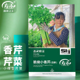 寿禾 芹菜种子香芹四季苗山芹阳台盆栽种菜蔬菜苗种苗秋季季菜种籽 脆嫩小香芹（四季）种子10g