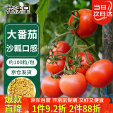 花沃里粉红大番茄沙瓤西红柿种子100粒 蔬菜种子四季阳台种植盆栽土庭院