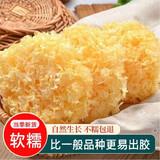 君臣乐新货银耳糯耳银耳干货方便食品软糯多胶福建特产白木 丑耳糯耳250g
