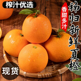 庾丰正宗湖北秭归橙子新鲜水果现摘 源头直发 当季夏橙 5斤大果(净果4.5斤) 单果60mm+