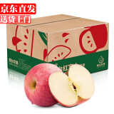 诱鲜地山东烟台红富士苹果 净重8.6斤果径85mm+ 脆甜新鲜水果源头直发