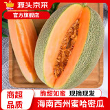 京源采海南哈密瓜西周密瓜当季新鲜孕妇水果冰淇淋网纹瓜哈蜜瓜源头直发 带箱3斤（单果约1-2个）