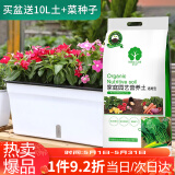 漫生活花盆组合套装加厚长方形塑料两层阳台种菜箱室内植物种菜盆(大号)