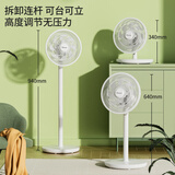 赛亿电风扇/落地扇 台扇/台地扇 家用办公室台立升降式可摇头非遥控12风叶电风扇FS-N9