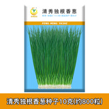 凤鸣雅世四季美味小葱种子青菜四季小香葱盆栽苗蔬菜种籽葱种籽农家种葱籽 独根小葱种子10克原厂袋装