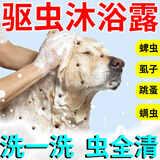 天望狗狗沐浴露杀菌除臭洗澡驱虫止痒除螨去虱子跳蚤药猫宠物专用浴液 一瓶装【洗一次 就见效】