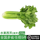 绿食者 新鲜水果西芹250g左右 荷兰清芹 榨汁生吃新鲜蔬菜清甜爽口