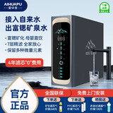 爱华普1000g大流量ro反渗透净水器家用加热直饮净饮一体机自来水过滤厨下台式真鲜活净水器 富锶矿化款800G