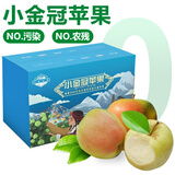 诸氏橙品【藏地高原】小金冠苹果水果整箱 时令青苹果生鲜当季中秋节礼盒 5斤畅享装【中大果 约10-16枚】