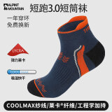 ALPINT MOUNTAIN埃尔蒙特CoolMax马拉松专业跑步袜男款登山袜徒步袜短筒运动袜子