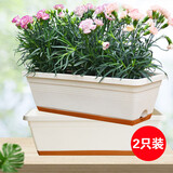 花沃里长方形花盆带托盘2个 阳台种菜盆种菜箱种子育苗盘种植箱米白大号