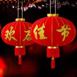 多美忆大红灯笼2个新年灯笼大门挂的春节灯笼马年商场店铺布置 欢度佳节