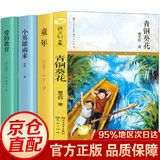 青铜葵花曹文轩 原版 完整版人教版适合 草房子小英雄雨来四年级下册必读课外书 宝葫芦的秘密细菌世界历险记全套 儿童文学获奖作品四五六年级下册阅读课外书籍老师推荐必读经典书目 4册青铜葵花+童年+小英雄