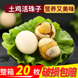 龙城香13天新鲜活珠子熟食毛蛋20枚鸡胚蛋 钢化蛋开袋即食毛鸡蛋 新鲜活珠子20枚