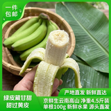 京鲜生绿皮甜香蕉 净重4.5斤装 单根100g 新鲜水果 源头产地直发