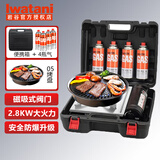 岩谷（Iwatani）卡式炉气罐燃气煤气体便携气瓶250g卡磁炉喷抢瓦斯丁烷罐安全防爆 ZB-19M+ZK-05烤盘+收纳箱+4瓶气