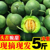 财莱乐绿宝石小香瓜绿宝甜瓜水果新鲜5斤当季时令脆瓜山东10 净重5斤中果（9-12个果）