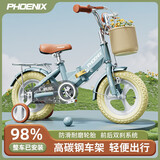 凤凰（Phoenix）儿童自行车3-4-6-10岁宝宝脚踏车男孩女孩童车折叠单车 仰望蓝灰色+一体轮-带后座款 16寸（建议身高110-130cm）